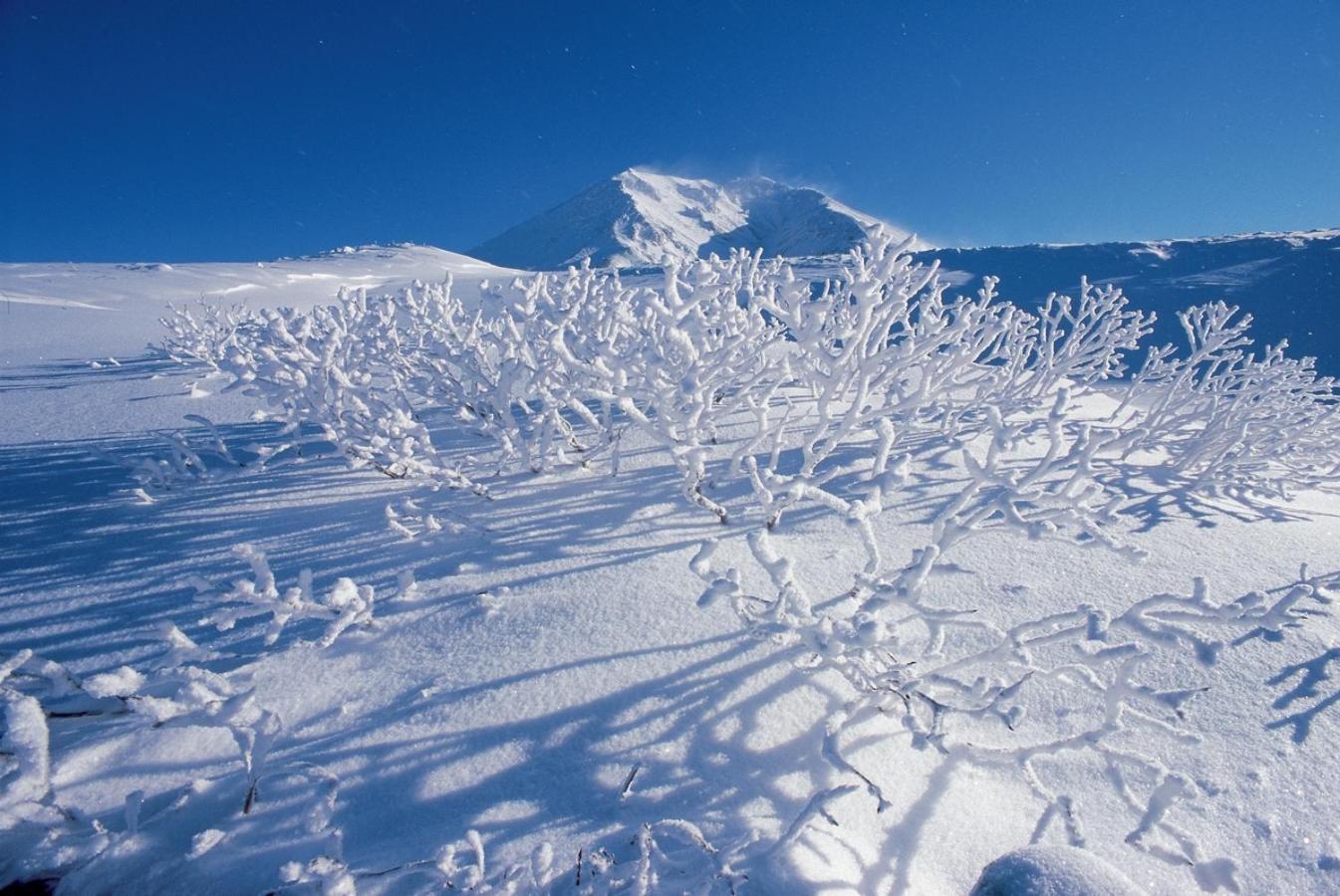 大雪山远景酒店 4* 东川町